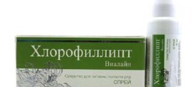 Хлорофиллипт для детей и взрослых