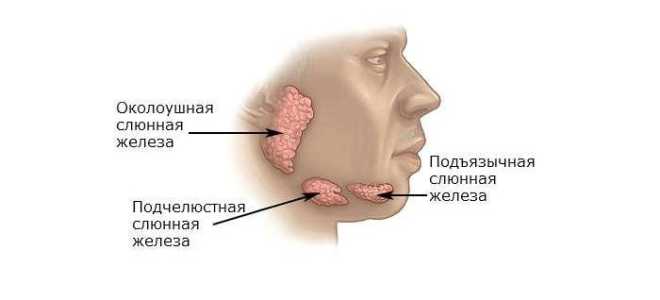 Почему обильное слюноотделение