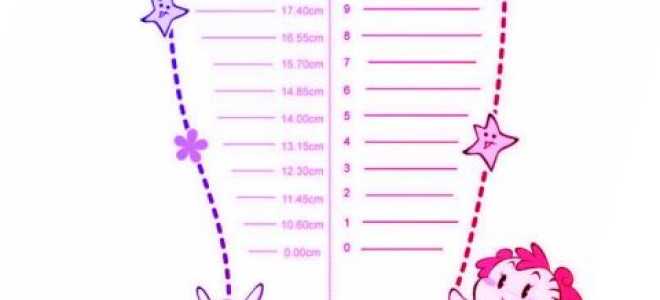 Порядок появления зубов