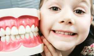 Сколько молочных и постоянных зубов должно быть у детей