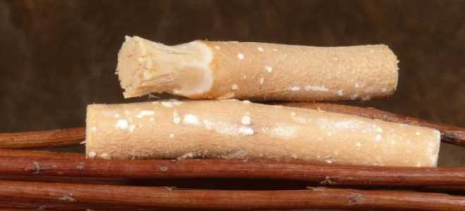 Когда в России появилась зубная щетка